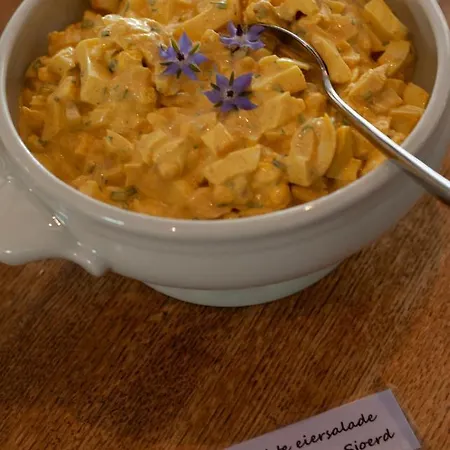 Hof Van Vijfeijken 住宿加早餐酒店 *