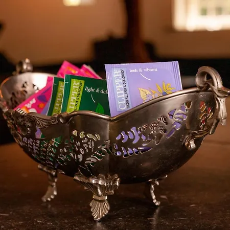 Hof Van Vijfeijken 博克斯特尔