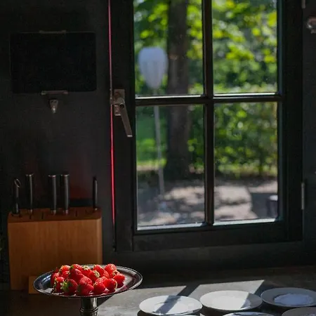 Hof Van Vijfeijken * 博克斯特尔