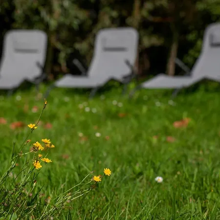 Nocleg ze śniadaniem Hof Van Vijfeijken Boxtel