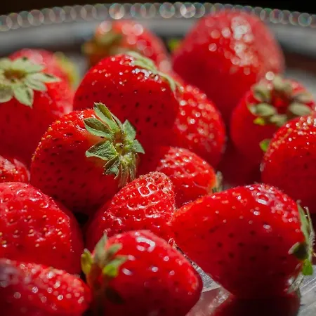 Hof Van Vijfeijken 住宿加早餐酒店