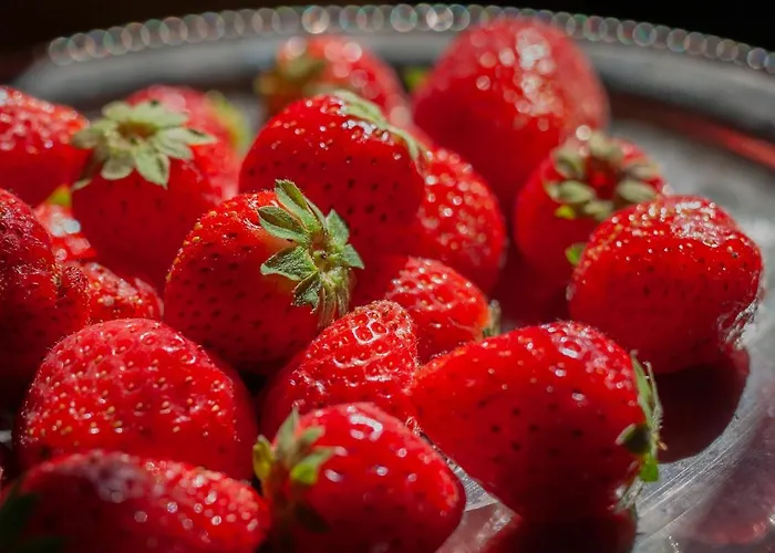 Hof Van Vijfeijken Alojamento de Acomodação e Pequeno-almoço